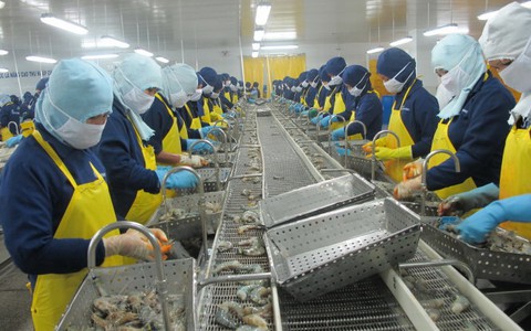 Doanh nghiệp vẫn bị làm khó trong hoàn thuế