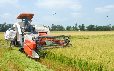 Phê duyệt phương án
cánh đồng lớn đến 66.000ha