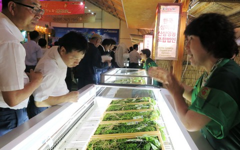 Lễ hội Hamyang, khát vọng Ngọc Linh
