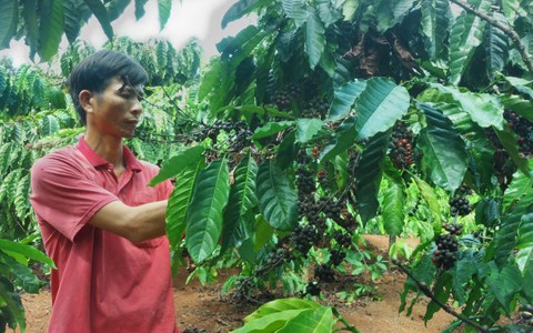 Thủ tướng yêu cầu xử nghiêm gian dối trong sản xuất, kinh doanh