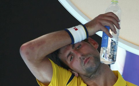 Djokovic từng bị gạ gẫm bán độ
