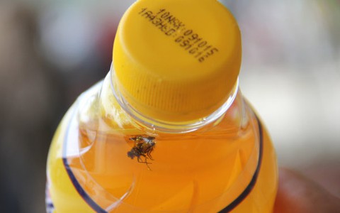 Người dân mua phải chai nước Number One có ruồi