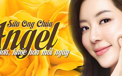 Sữa ong chúa tươi Angel tuyển đại lý phân phối