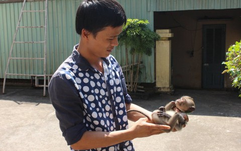 Không tính nổi với hàng ngàn chú khỉ "quậy tưng" Hòn Khoai