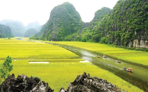 Đoàn phim Kong: Skull Island bắt đầu bấm máy tại Ninh Bình