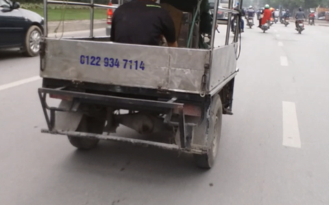 CSGT đâu mà ba gác, taxi... cũng hụ còi muốn rớt tim?