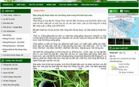 Lúa chết gần hết, web Sở mới hướng dẫn cách chăm sóc
