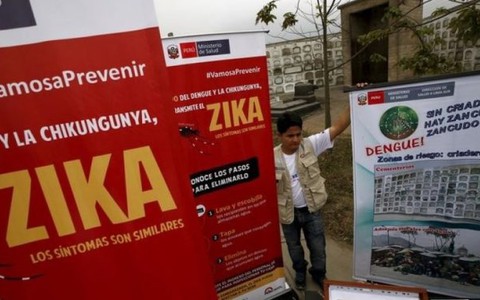 WHO khẳng định virút Zika gây bệnh đầu nhỏ