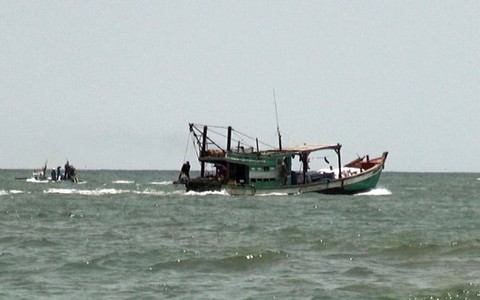 Hàng chục ghe cào tiếp tục xâm phạm bãi sò lụa Kiên Lương
