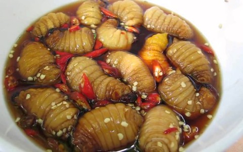 Ăn đuông dừa, suýt chết!