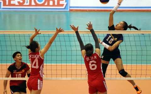 Nghịch lý
bóng chuyền VN