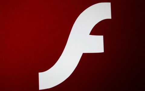 Người dùng máy tính cần cập nhật nhanh Adobe Flash