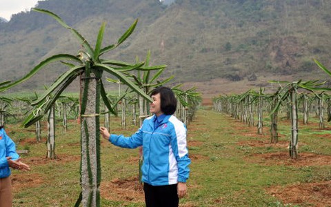 Những “trí thức 07” trên cao nguyên đá