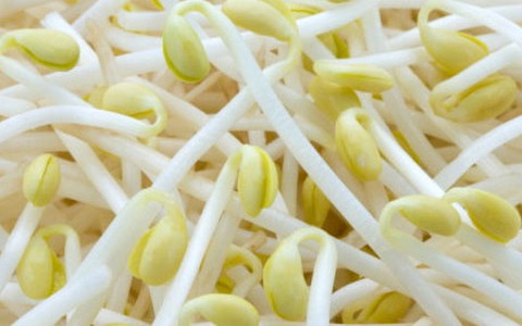 Giá: bổ dưỡng hơn đậu