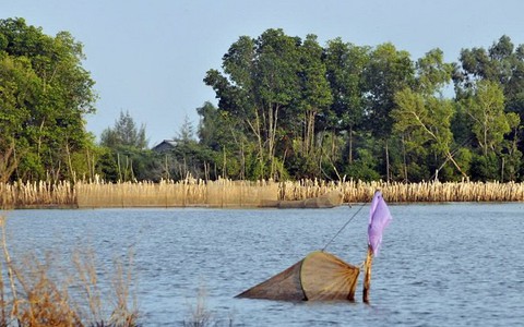 Những “lá chắn xanh” cho vùng biển Kiên Giang