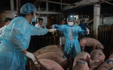 Bí thư Thăng: Thức ăn bẩn mà “cả làng đều vui, ăn bẩn vẫn vui"