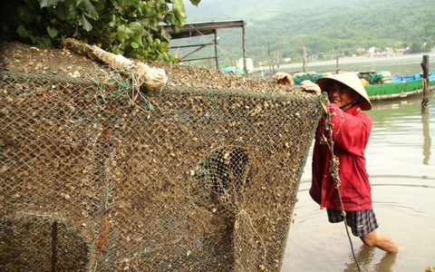 Dù kinh tế thì thép Formosa cũng không lớn hơn cá tôm