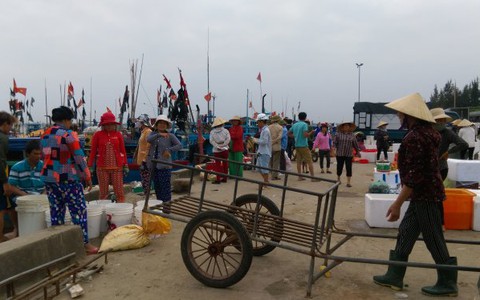 Ngư dân Hà Tĩnh đổ xô lặn sò thay đánh bắt cá