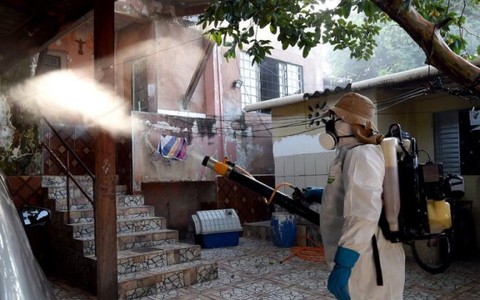 Brazil ghi nhận 91.000 ca nhiễm mới virút Zika