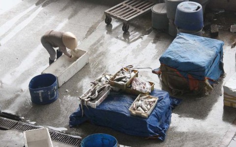"Cá nục mắt tươi như mắt con mèo, bán 10.000đ không ai mua"
