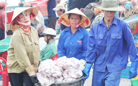 Cửa Lò quan trắc chất lượng nước biển 10 ngày/lần