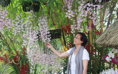Hoàng thành Huế triển lãm gốm, hoa lan, cây cảnh, thư pháp