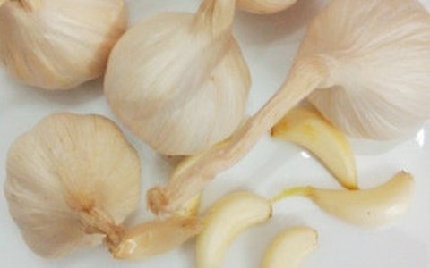 Tỏi, nguy cơ và hiệu quả