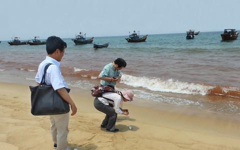 Nước biển đỏ ở Quảng Bình không phải là thủy triều đỏ