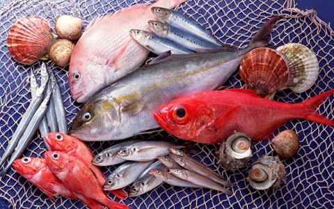 Tăng thời gian hỗ trợ ngư dân vùng cá chết