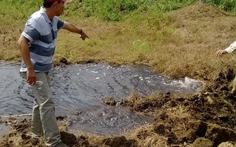 Niêm phong phân xưởng nhuộm vi phạm bảo vệ môi trường