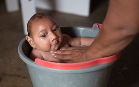 Nước tiểu tốt hơn máu khi xét nghiệm Zika