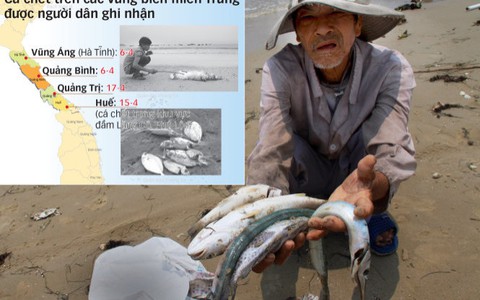 Đủ căn cứ loại trừ nguyên nhân tự nhiên làm cá chết