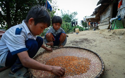 3 chị em côi cút