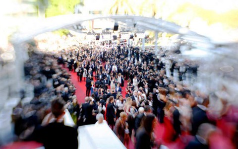 Diễn viên Hollywood đến Cannes làm gái mại dâm với giá khủng