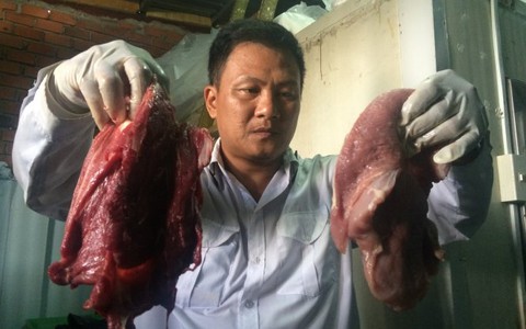 “Phù phép” thịt heo thành thịt đà điểu