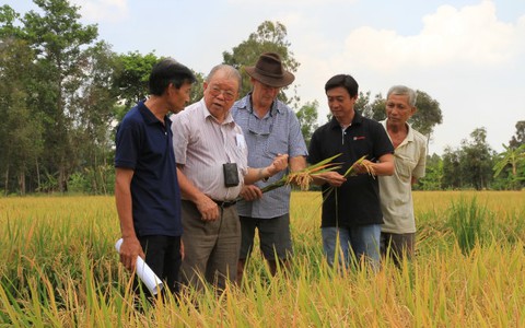 Phân bón và câu chuyện môi trường