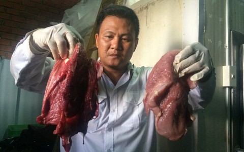 “Phù phép” thịt heo thành thịt nhím, nai...