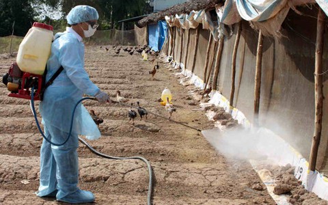 Xuất cấp hóa chất sát trùng cho tỉnh Bình Thuận