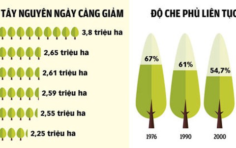 Mục tiêu 2020: rừng Tây nguyên đạt độ che phủ bằng... cách nay 5 năm