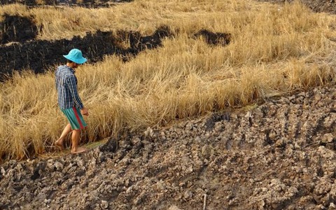 Biến đổi khí hậu làm trầm trọng tình trạng sa mạc hóa