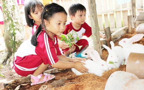 Cùng bé khám phá “Funny Farm” tại trường Saigon Academy