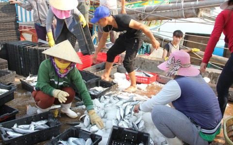 Sử dụng tiền Formosa bồi thường đạt hiệu quả cao nhất