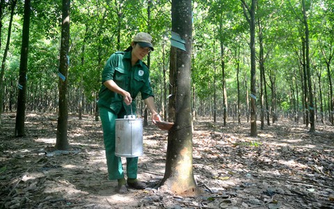 Chuyện về An “tuyệt vời”