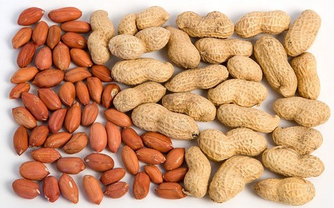 Dừng nhập khẩu lạc từ Senegal