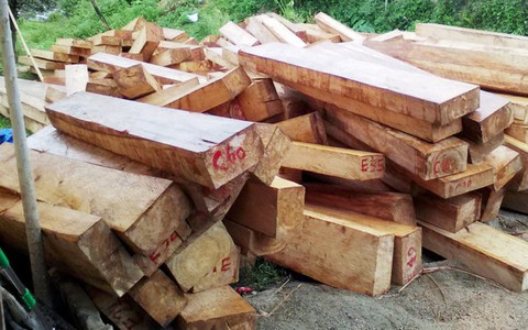 Phát hiện hàng trăm phách gỗ để gần trạm biên phòng