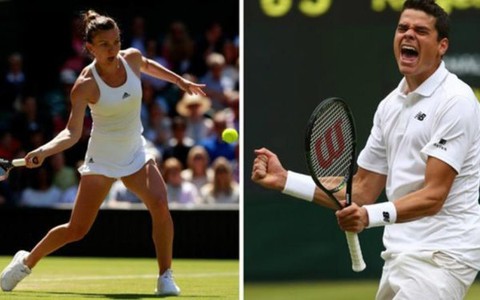Halep và Raonic không dự Olympic 2016 vì lo ngại virus Zika