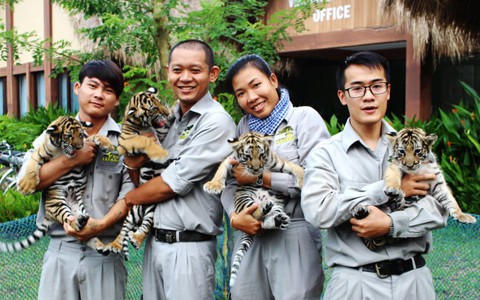 Nhiều “công dân” mới  ở Safari Phú Quốc