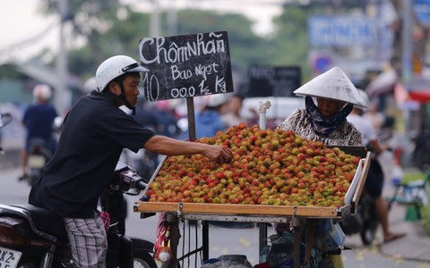 Vì sao trái cây rẻ rề nhưng vẫn ế?