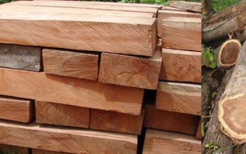 Bắt nghi phạm từ Hà Nội vào Quảng Bình lừa mua bán gỗ