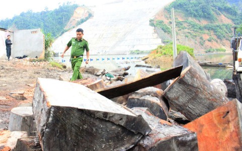 Thôi chức hạt trưởng, hạt phó Hạt kiểm lâm huyện Bảo Lâm